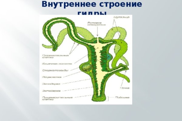 Маркетплейс кракен kraken darknet top