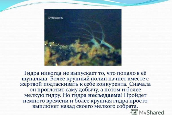 Кракен ссылка на рабочее зеркало