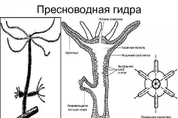 Кракен зайти