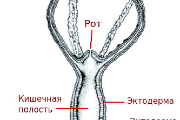 Kraken13 at сайт