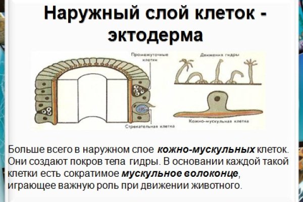 Регистрация на сайте кракен